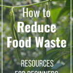 Two green beans hanging with text overlay. "How to Reduce Food Waste. Resources for Beginners"