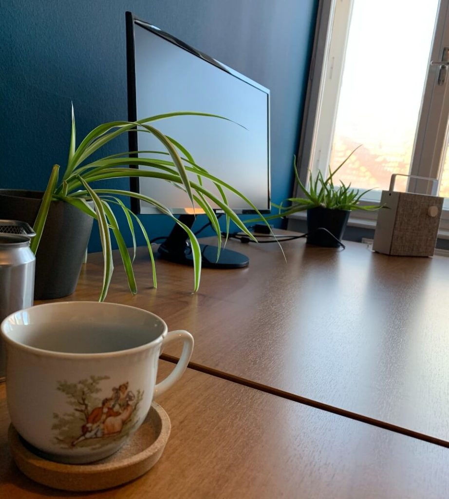 A view of the co-working room. Long brown desk with two spidery plants, another computer screen and a coffee cup.